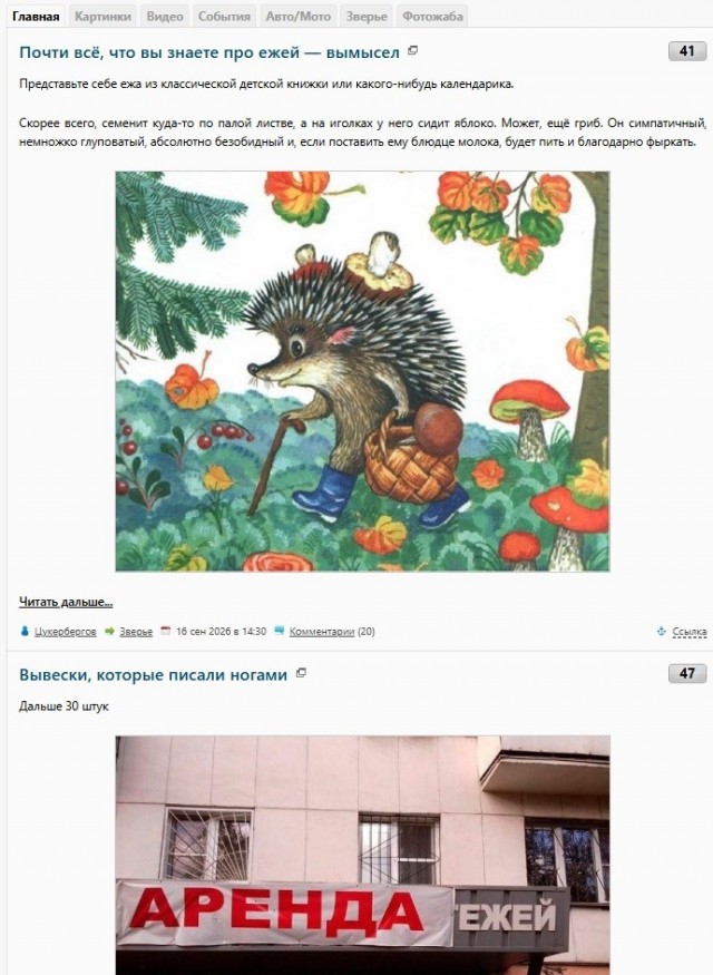 Почти всё, что вы знаете про ежей — вымысел