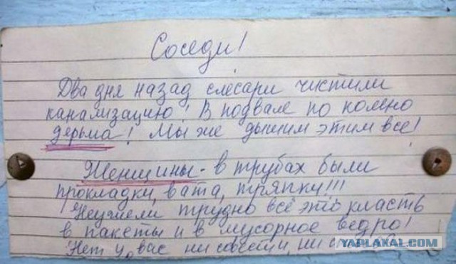 Мои соседи