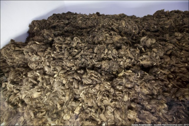 Аушвиц. Фабрика смерти 18+