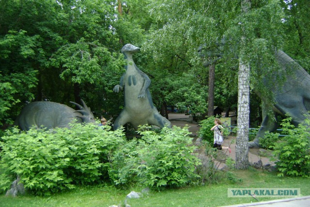 Новосибирск
