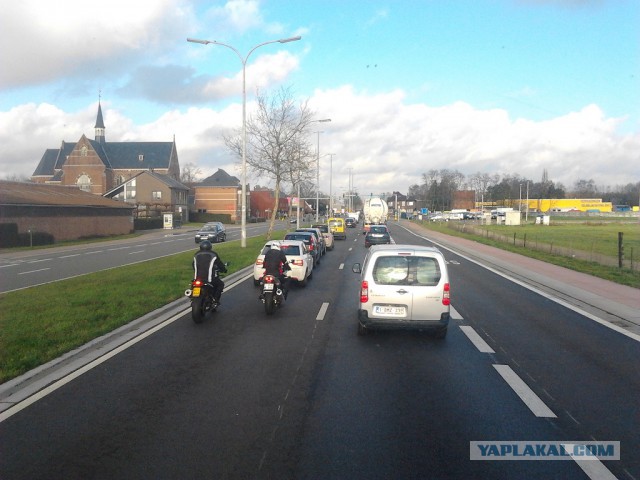 Где яблоки растут!