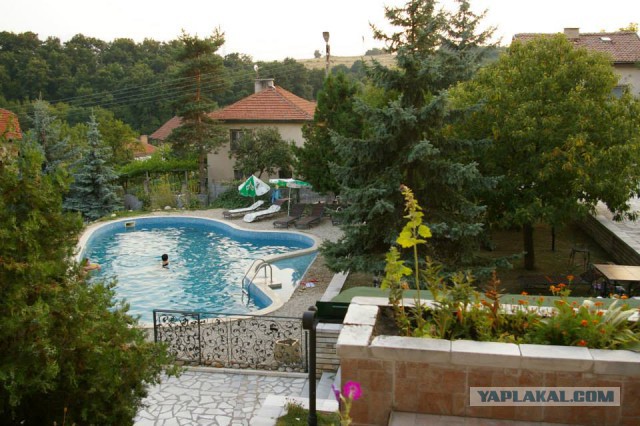 Счастливы, что они в Европе...