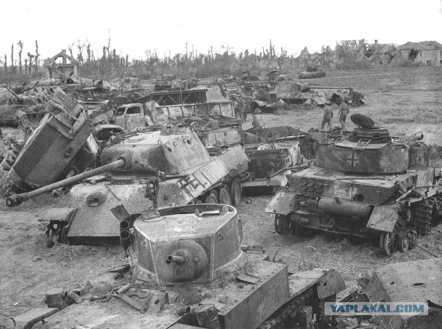 Wargaming 12, WoT сотоварищи