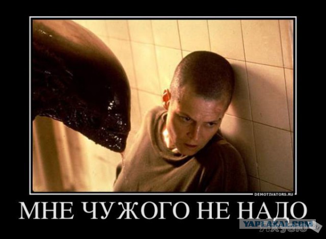 Где-то в параллельной вселенной