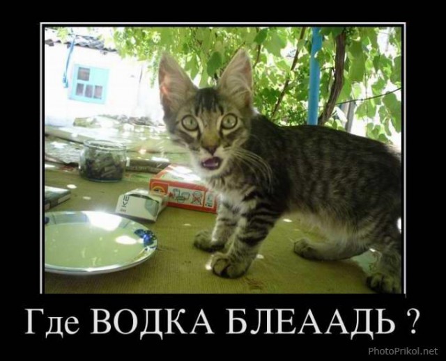 Картинка к пятнице