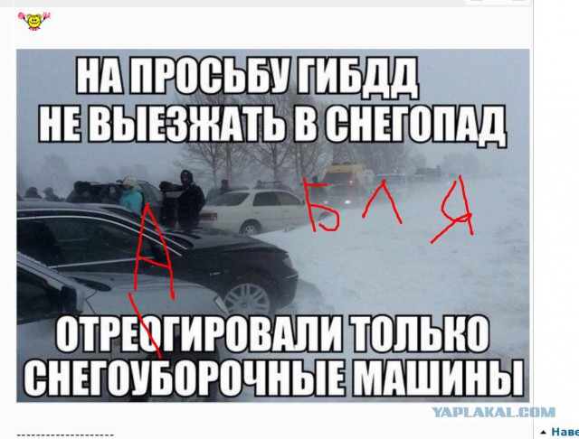 Веселые картинки