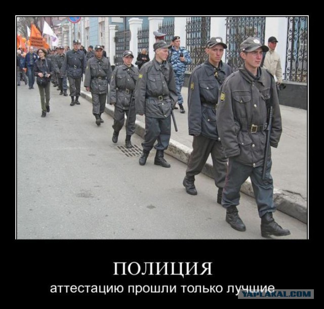 Веселые картинки