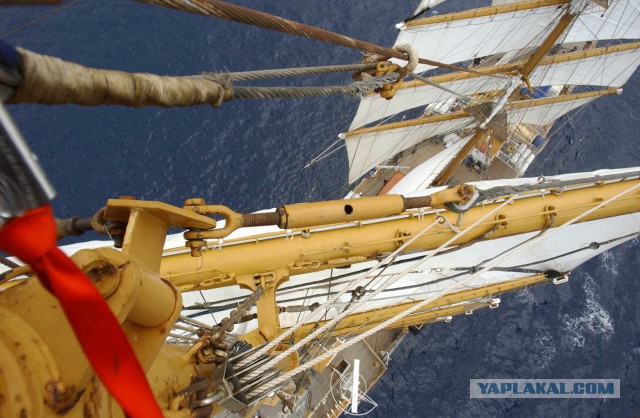 "Гюйс" и "Гальюн"