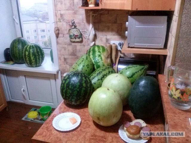 Кызылорда