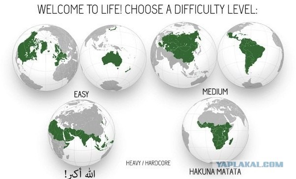 Добро пожаловать в жизнь