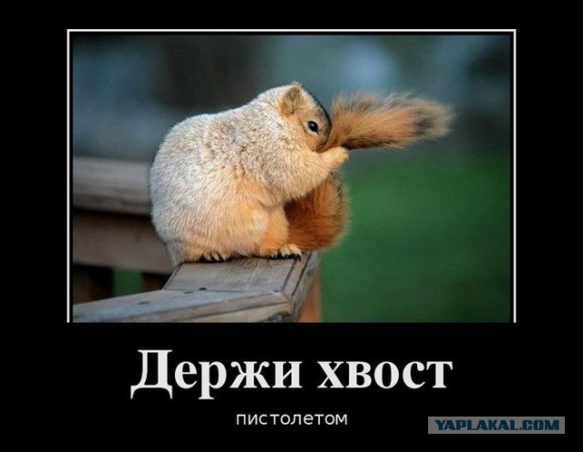 Подборка демотиваторов