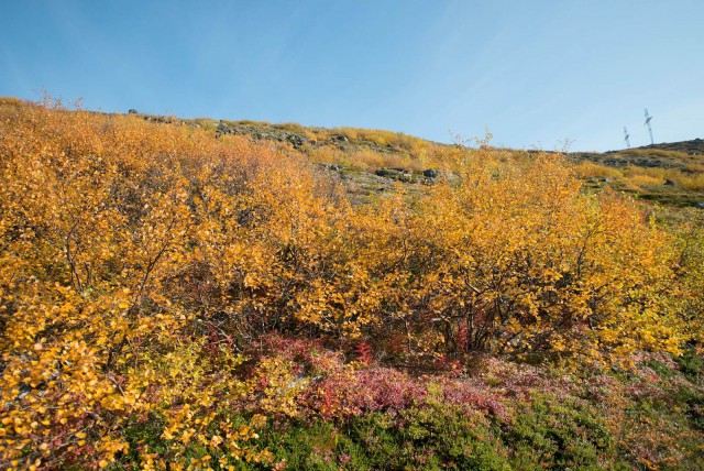 Поездка на Кольский полуостров.