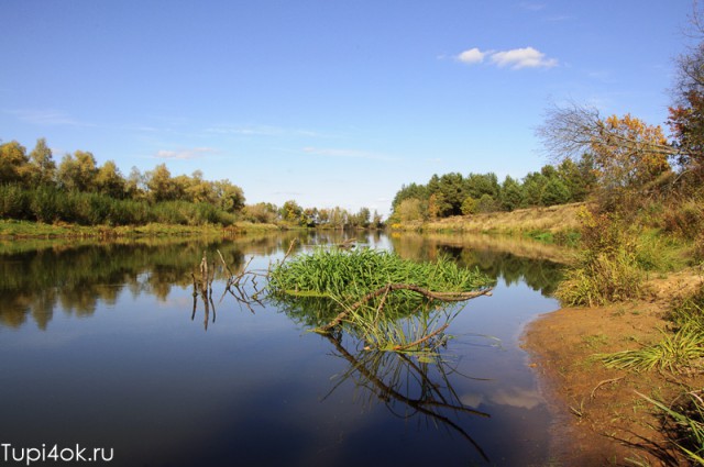 У реки