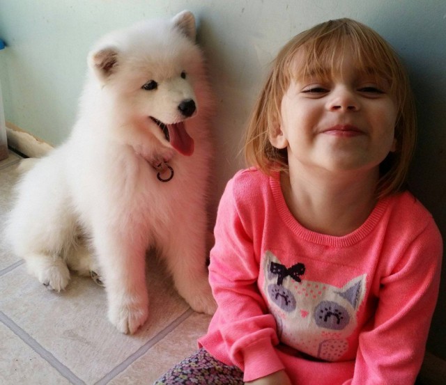 Подборка картинок