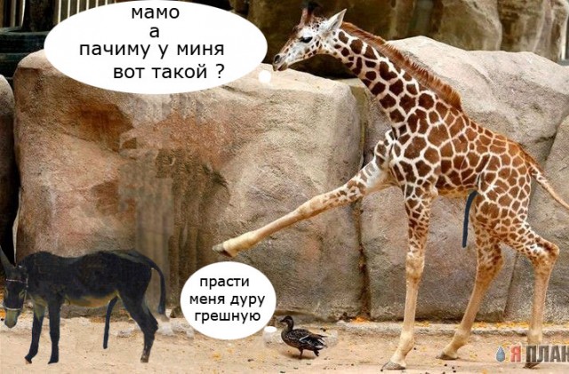 Эй, ты! А ну вон отсюда!