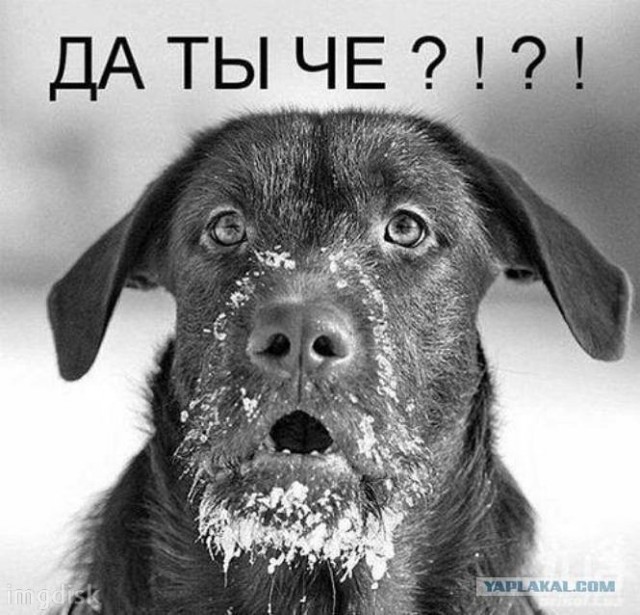 Это кто такой?