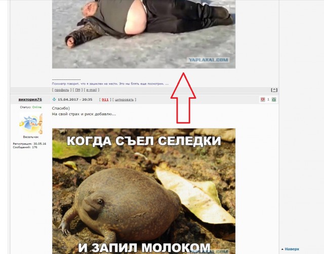 Подборка интересных и веселых картинок