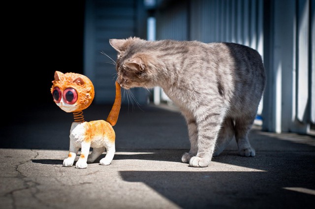 Коты и Кошки