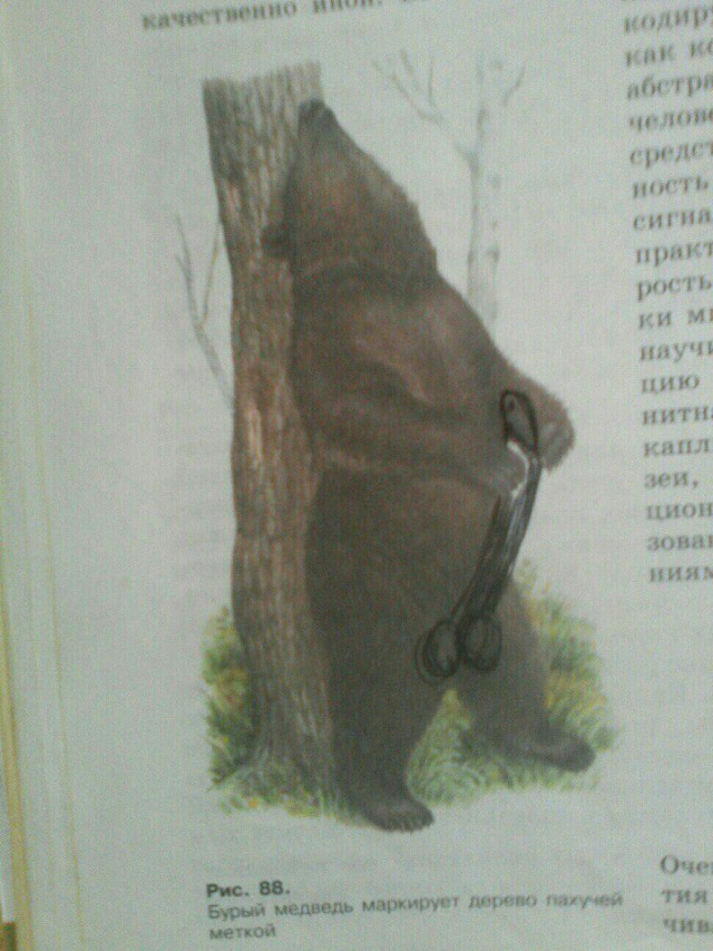 Очень много годноты