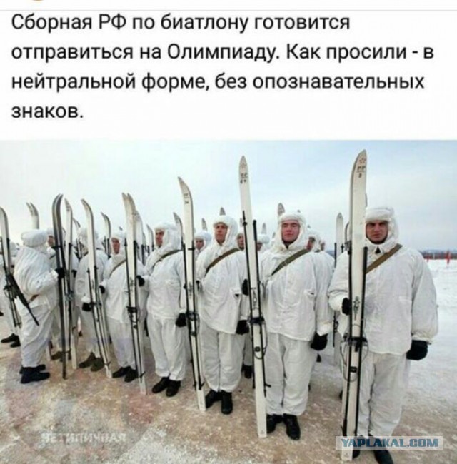 Путин-предсказамус