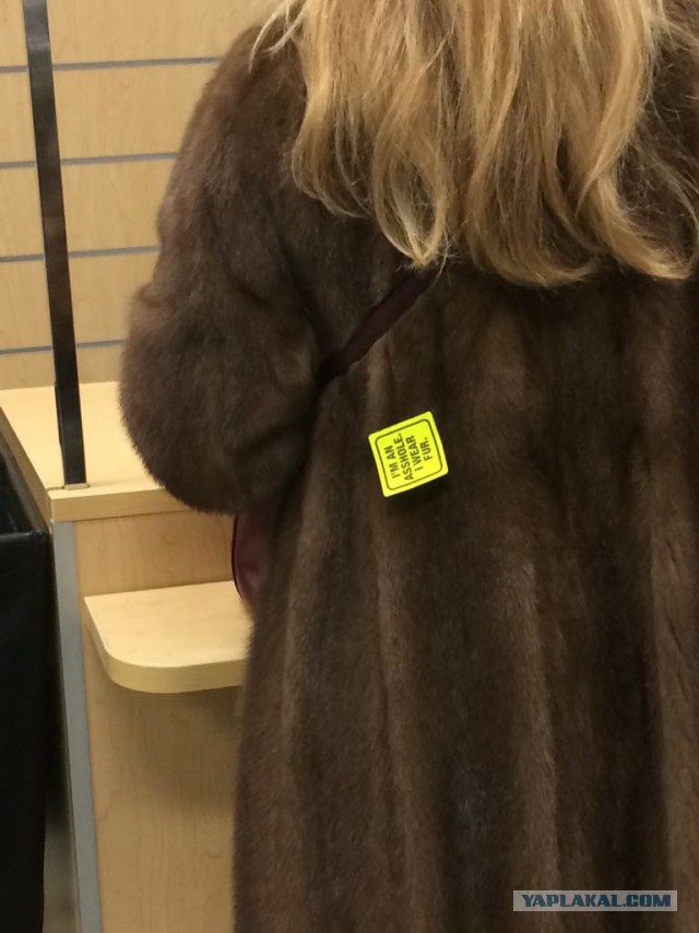 Зеленые лицемеры