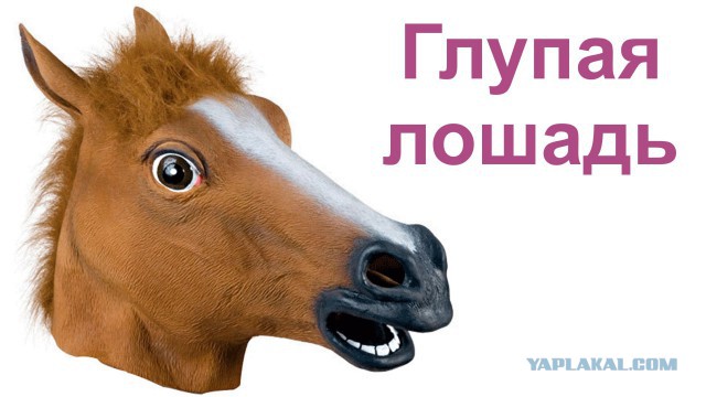 С телефона Аршавиной стюардессе "Аэрофлота" начали приходить угрозы