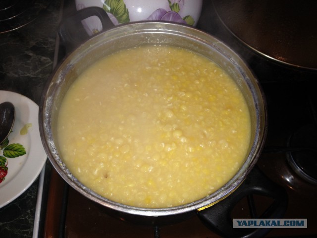 нищебродская кашка, музыкальная