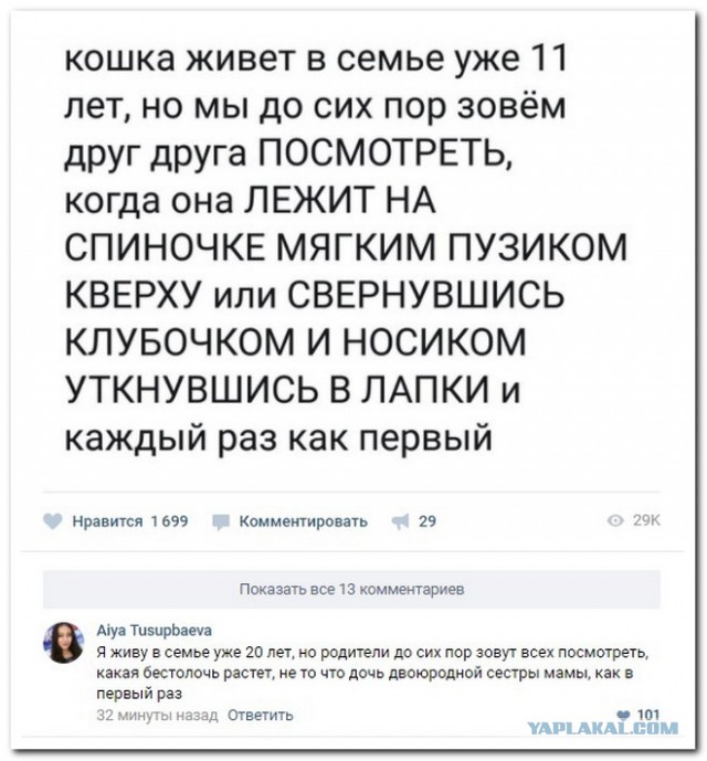 Подборка смешных комментариев из сети