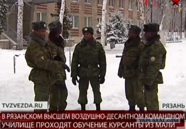 На Европу надвигаются сибирские холода.