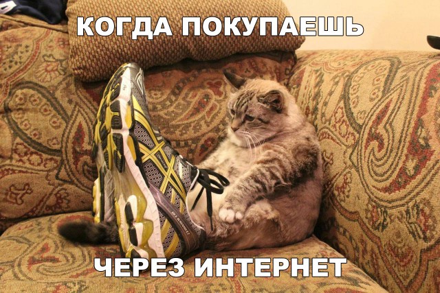 Прикольные картинки обо всём