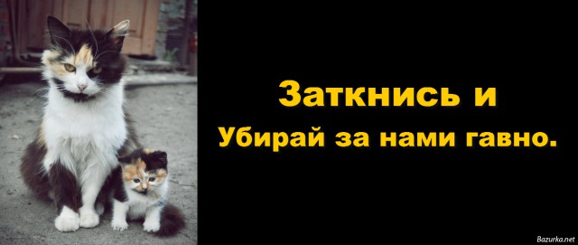 Не очень адекватный юмор