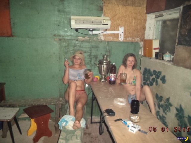 Скотсети и прочие интернеты 09.07.18