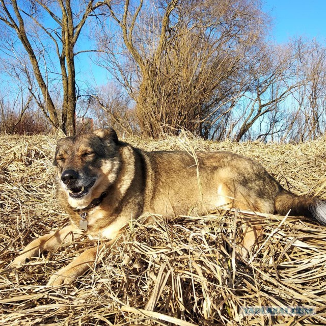 Цобако-четверг. А вы знаете...