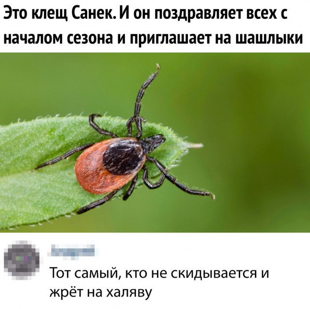 Не очень адекватный юмор