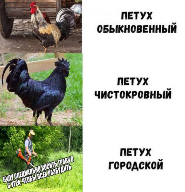 Немного картинок для настроения
