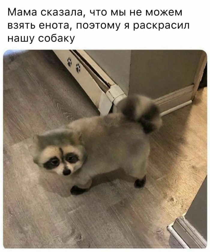 Подброка неинтересных и унылых картинок 06.11.19