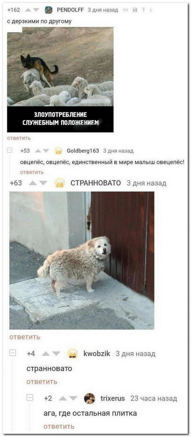 Бредзона из фотографий