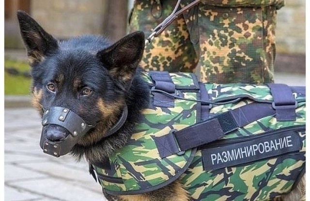 Интересные и редкие ретро-фотографии 09.02.2020