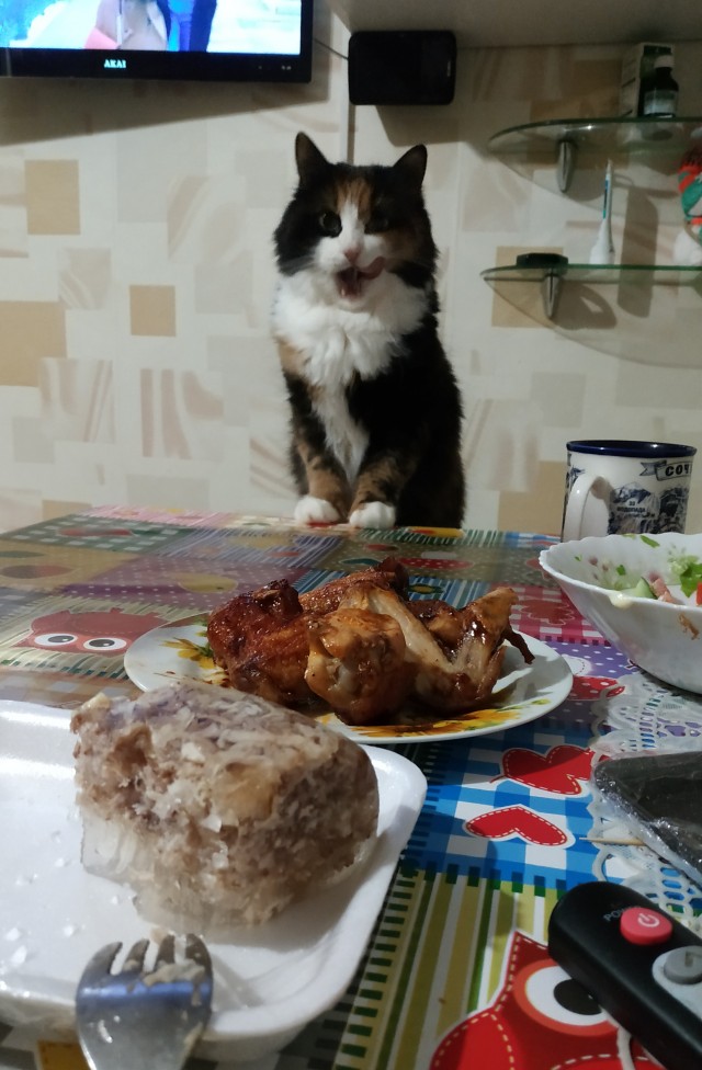 Котопост. Просто антикризисный котопост