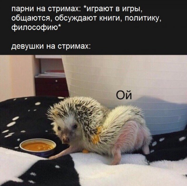 Немного картинок для настроения 01.04.20