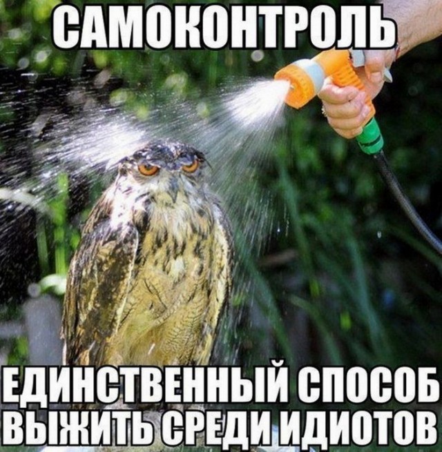 Мужчины сами культивируют в женщинах меркантильность?