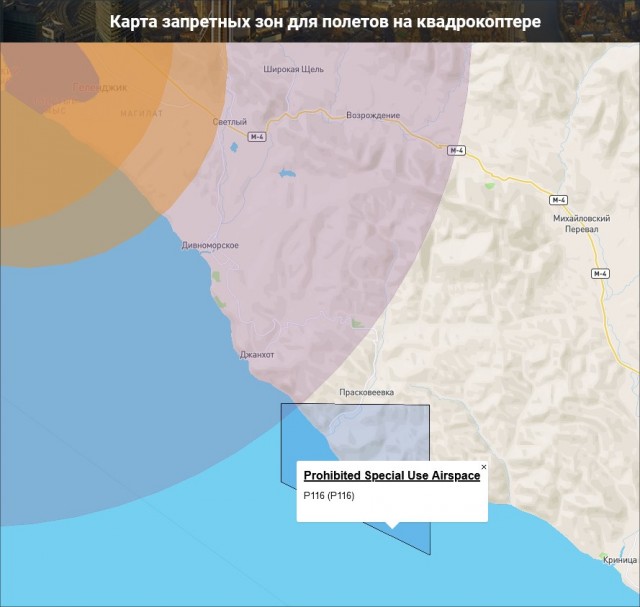 ФСБ объяснила бесполетную зону над «дворцом Путина» «возросшей разведывательной активностью сопредельных государств»