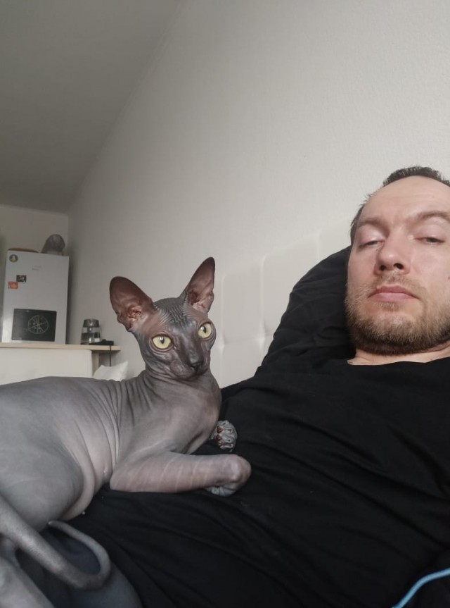 А котовторник уже начался?