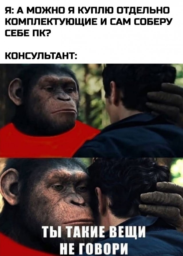 Весёлый полтишок 25.06.