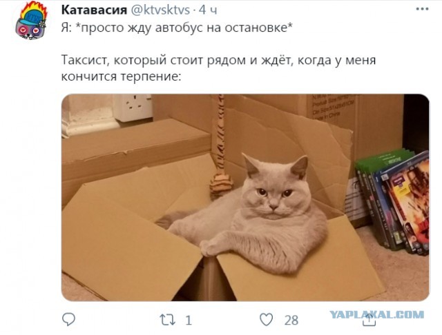 Весёлый полтишок 5.07