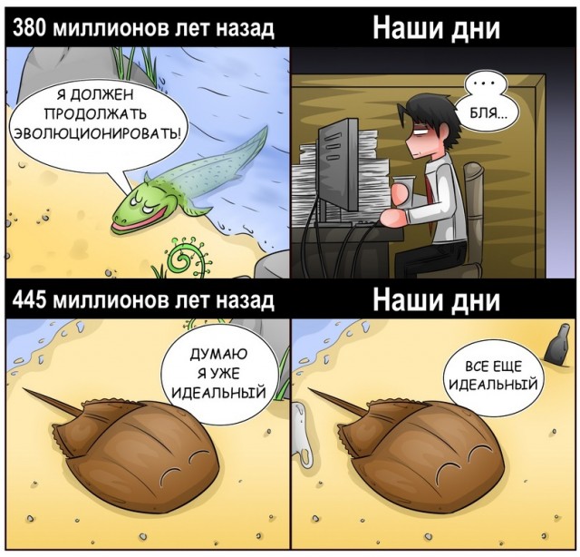 Так себе картинки 28.11.21