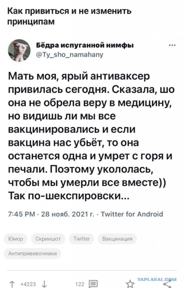 Пандемия. Коронавирус. Россия и мир. Последняя информация. Часть 27