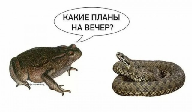 В РПЦ оскорбились высказыванием Артемия Лебедева о мощах святых