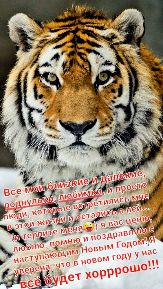 Пересланное сообщение