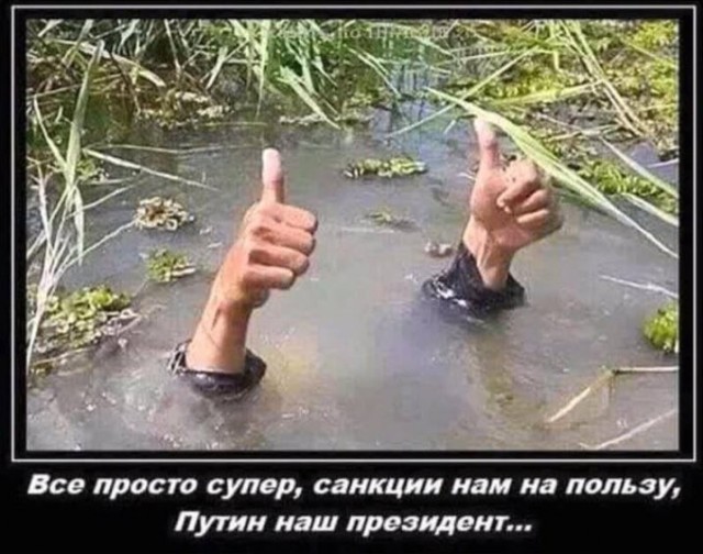 EASA приостановило действие всех выданных организациям гражданской авиации в России сертификатов